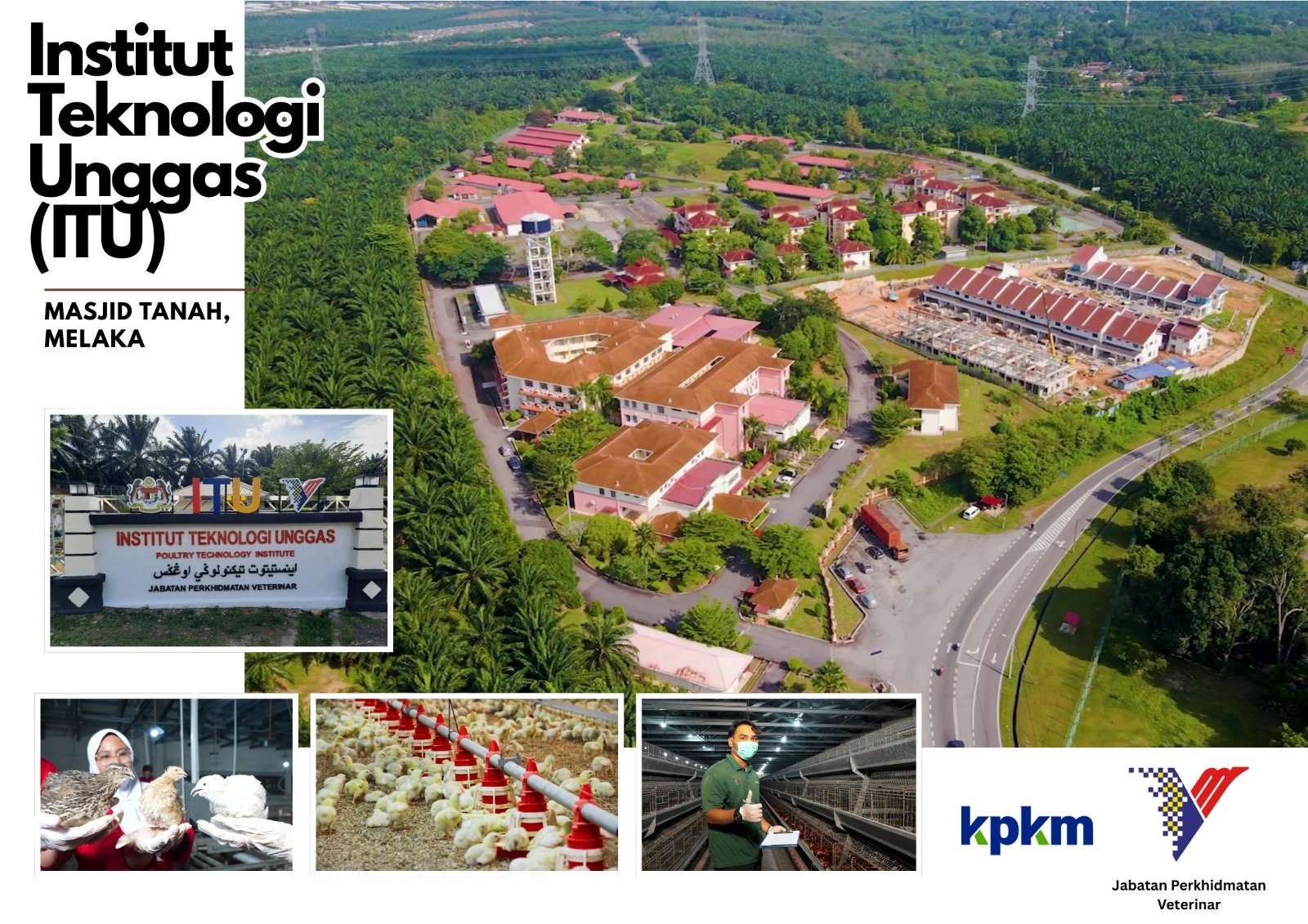 INSTITUT TEKNOLOGI UNGGAS